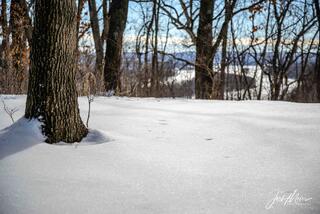 Effigy Mounds 3