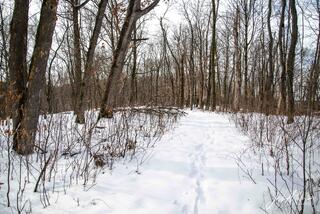 Effigy Mounds 2