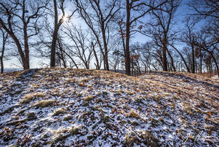 Effigy Mounds 14