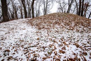 Effigy Mounds 11
