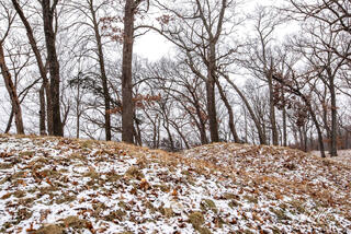 Effigy Mounds 18