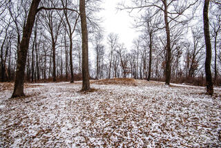 Effigy Mounds 19
