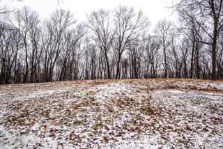 Effigy Mounds 20