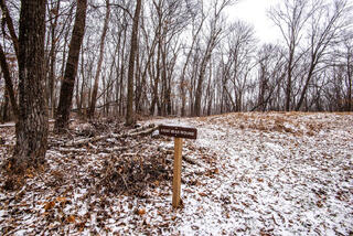 Effigy Mounds 21