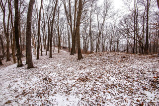 Effigy Mounds 22