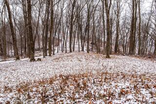 Effigy Mounds 28