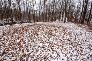 Effigy Mounds 23