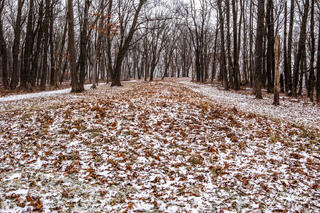 Effigy Mounds 24