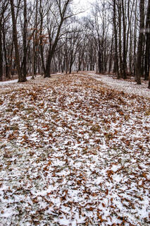 Effigy Mounds 25