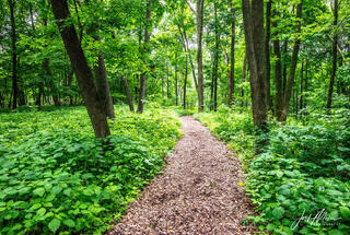 Effigy Mounds 29