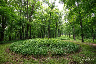 Effigy Mounds 31
