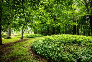 Effigy Mounds 37