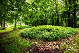 Effigy Mounds 38