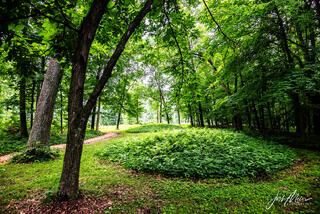 Effigy Mounds 33