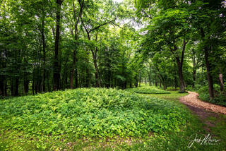 Effigy Mounds 34