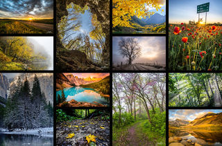 Homepage Grid 1