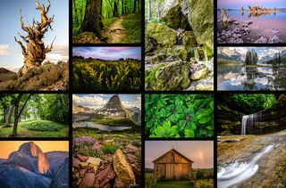 Homepage Grid 2