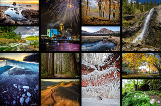 Homepage Grid 3
