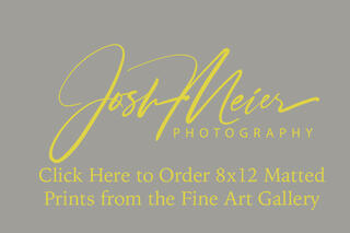 Gallery 8x12 Matted Prints