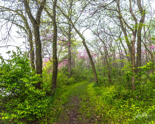"Red Haw State Park"
