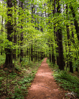 Wapsipinicon State Park